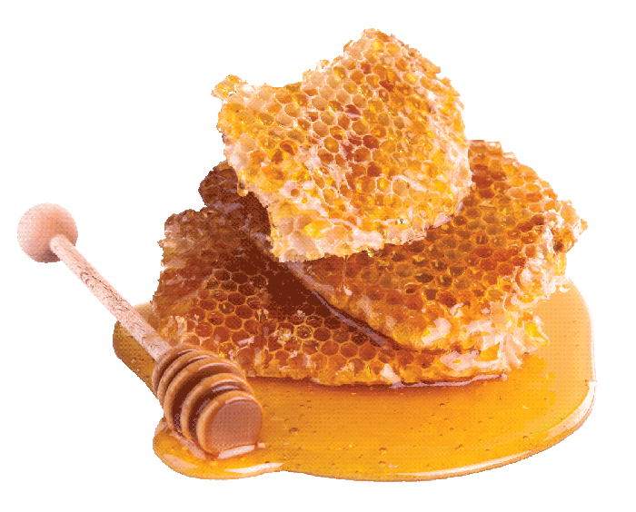 1 honey